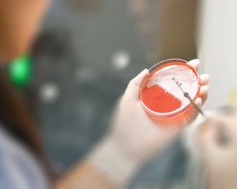 [Translate to English:] Fotograf: Pornpak Khunatorn/Getty Images